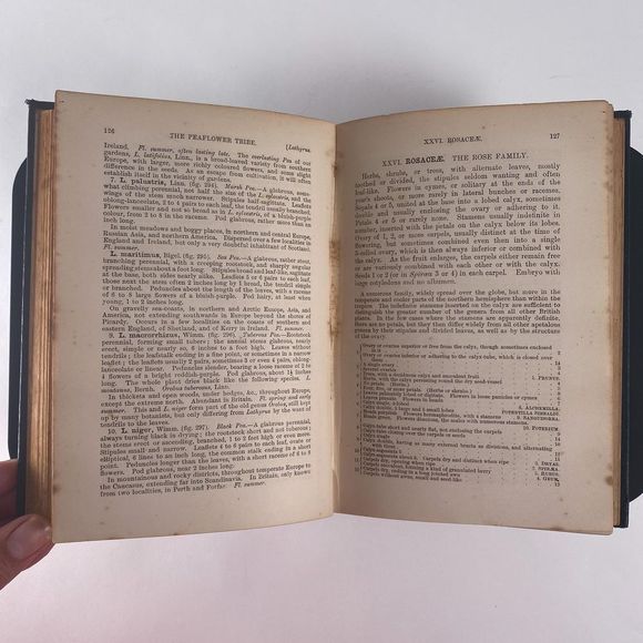 1895 Handbook of British Flora by George Bentham - Picture 11 of 13